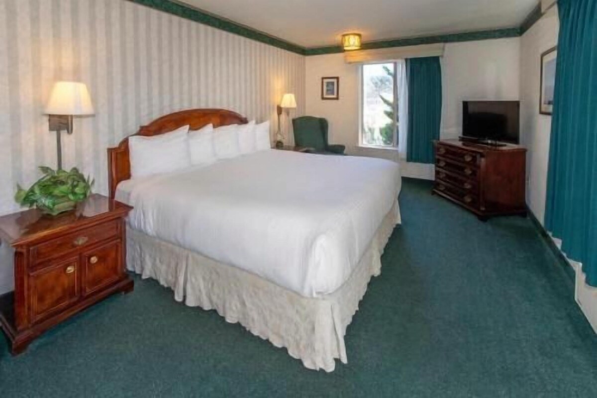 Habitación de hotel con una cama grande, cómoda, televisión y ventana con cortinas.