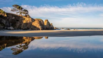 Una playa cerca