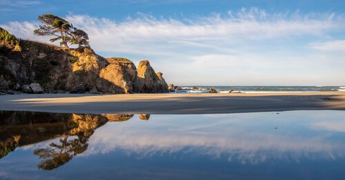 Emerald Dolphin Inn & Mini Golf