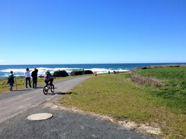 Um caminho costeiro pavimentado com pessoas caminhando e andando de bicicleta, com vista para o oceano.
