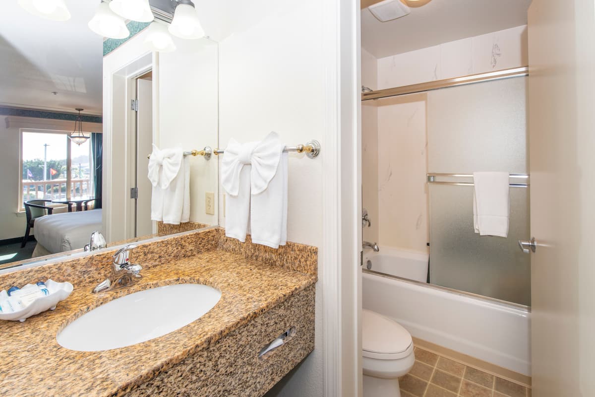 combined shower/bathtub, free toiletries, hair dryer, towels