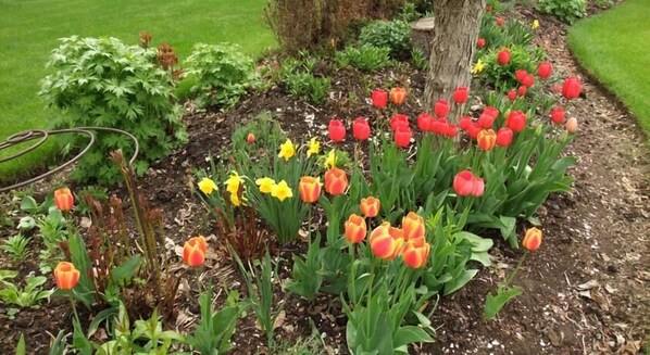 Garden - Windermere Lakeside B&B (Windermere)