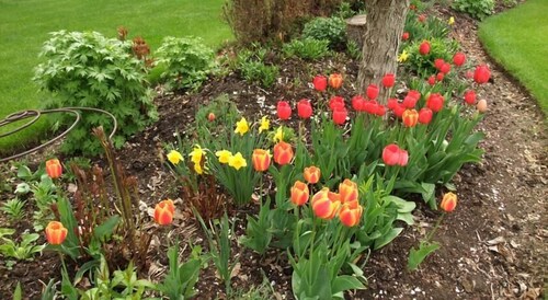 Windermere Lakeside B&B