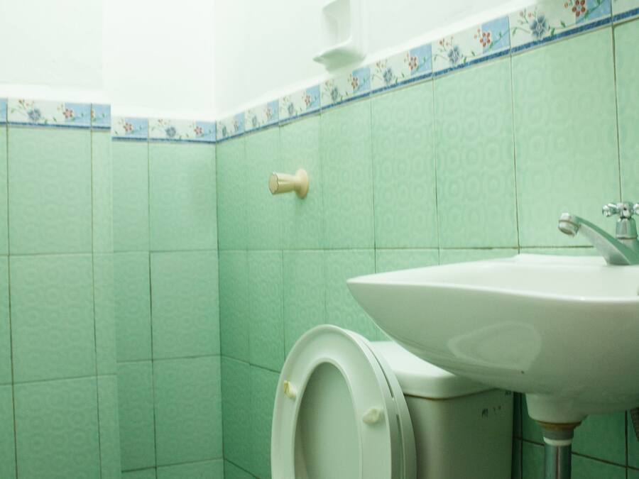 Un baño con inodoro, lavamanos y ducha.