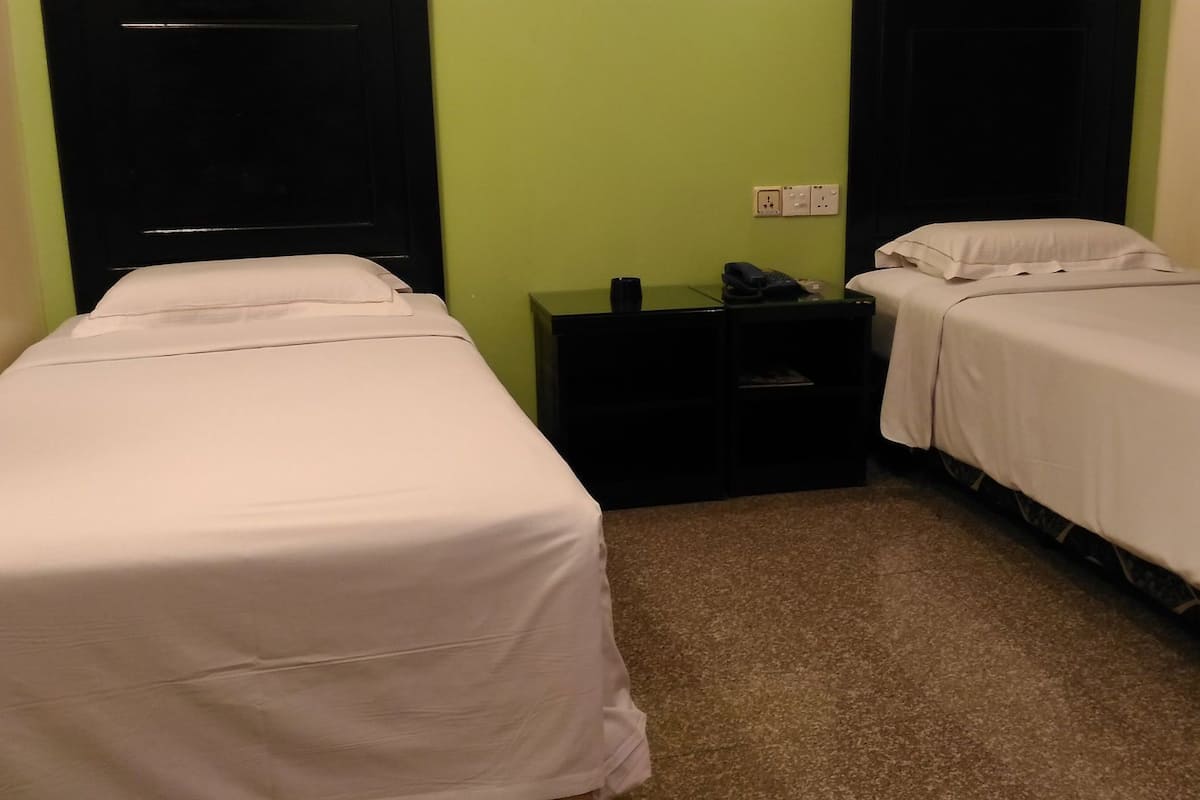 A twin room with two beds, a nightstand, and a green wall.