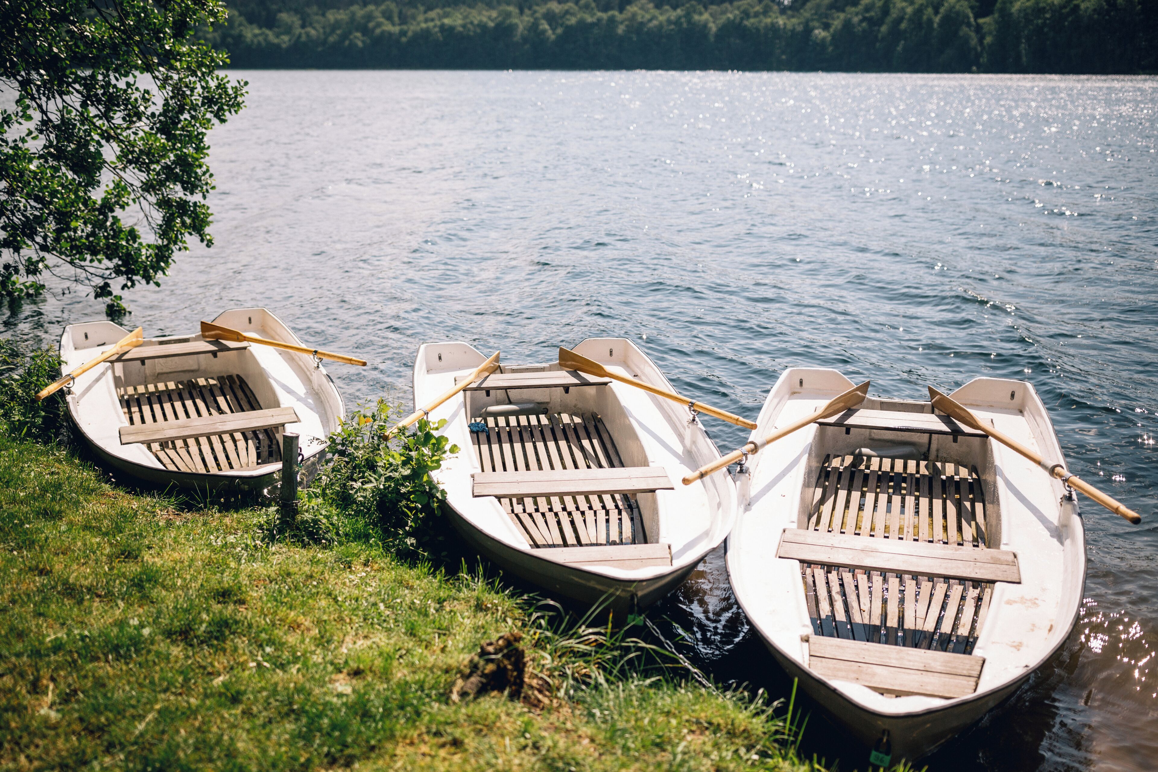 Three small rowboats docked at the edge of a lake with calm water and greenery in the background.