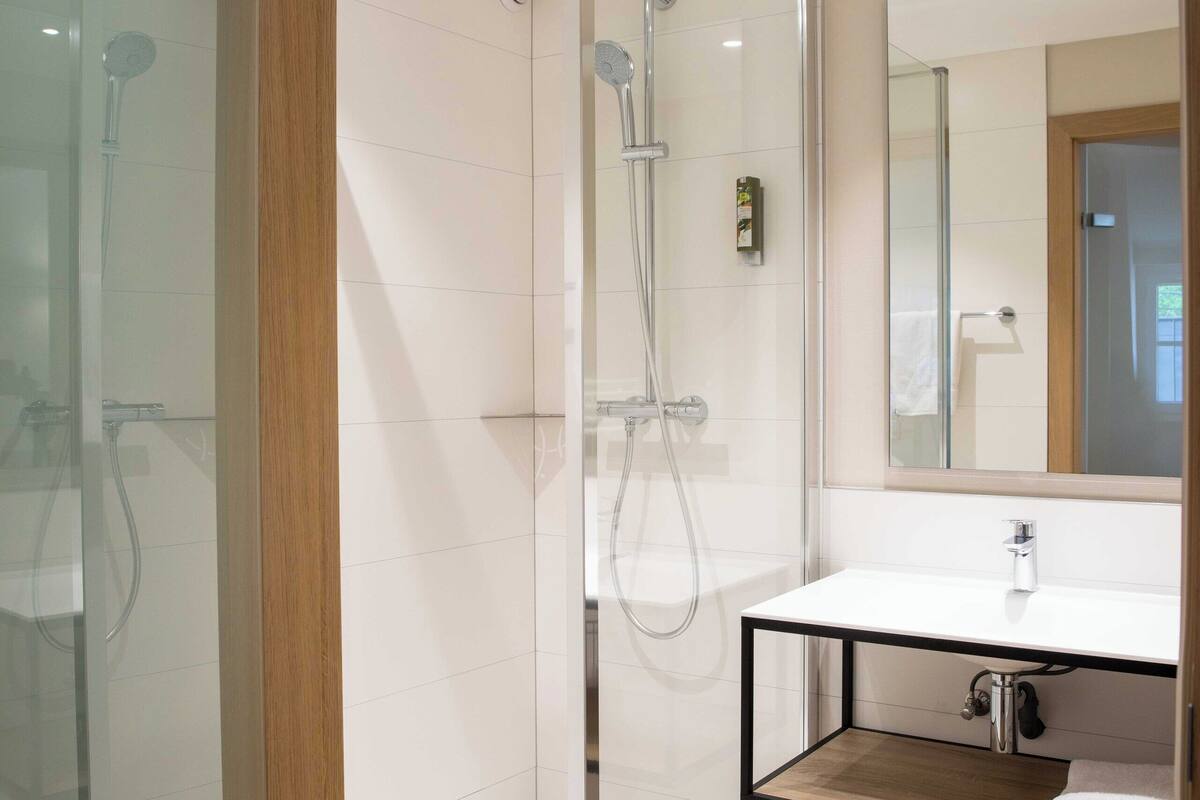 premium double or twin room | bathroom | shower, free toiletries, hair dryer, towels