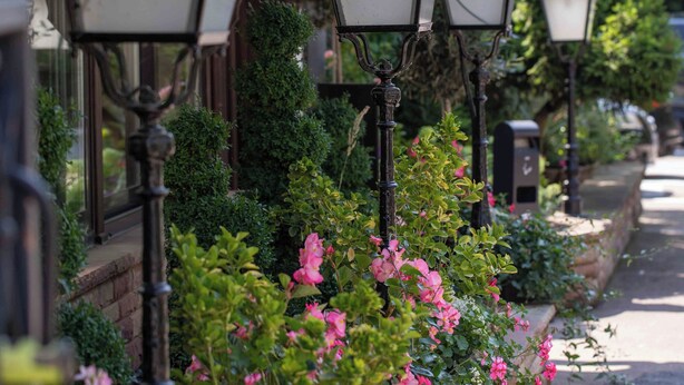Une rangée de lampadaires traditionnels, devant laquelle se trouve une rangée de plantes en fleurs.