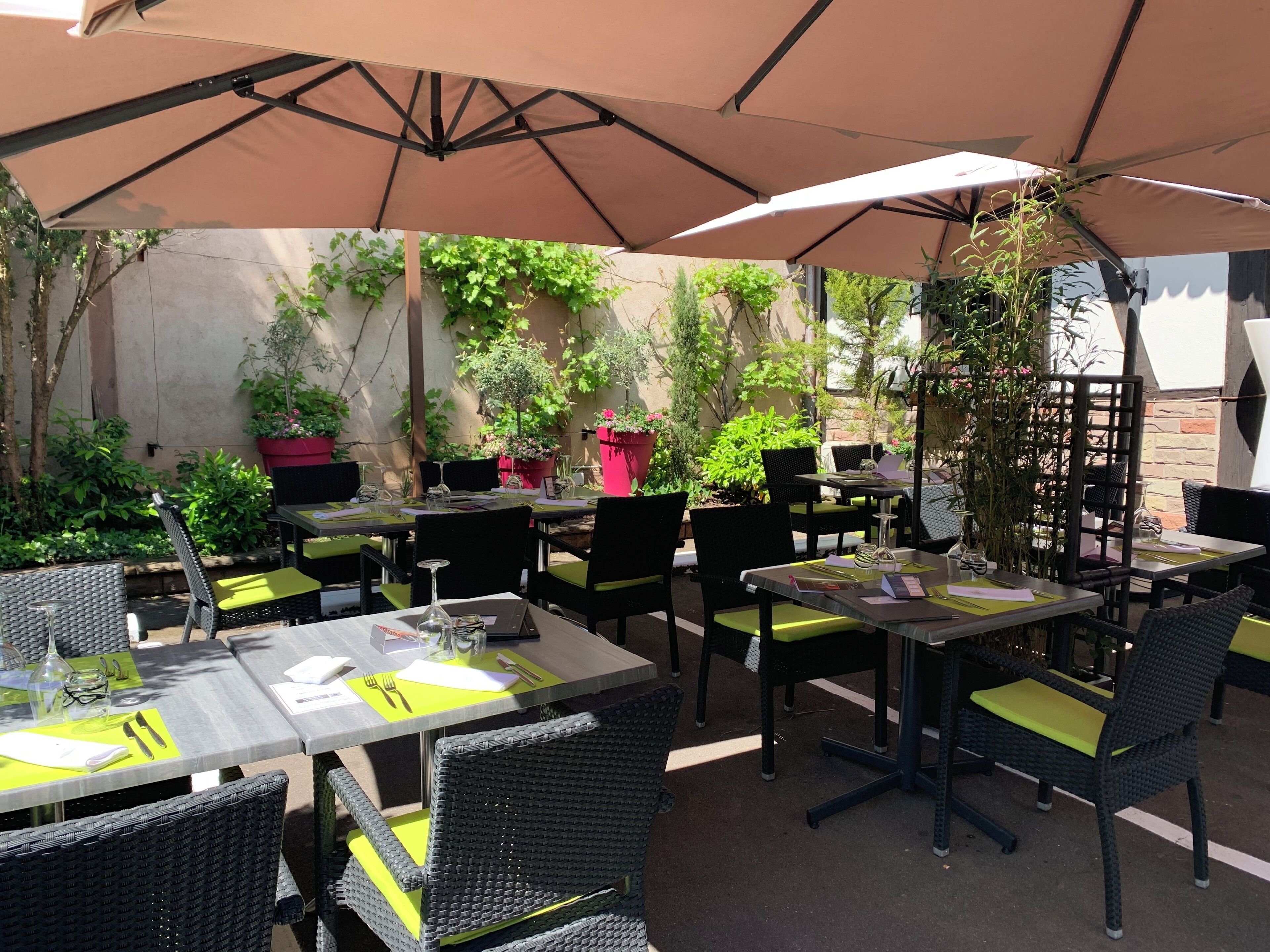 lunch and dinner served, french cuisine