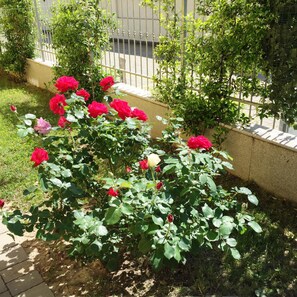 Jardín