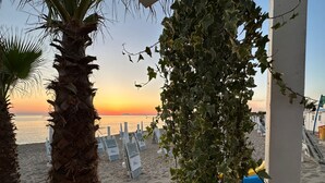 Una playa con palmeras y una vista al atardecer.