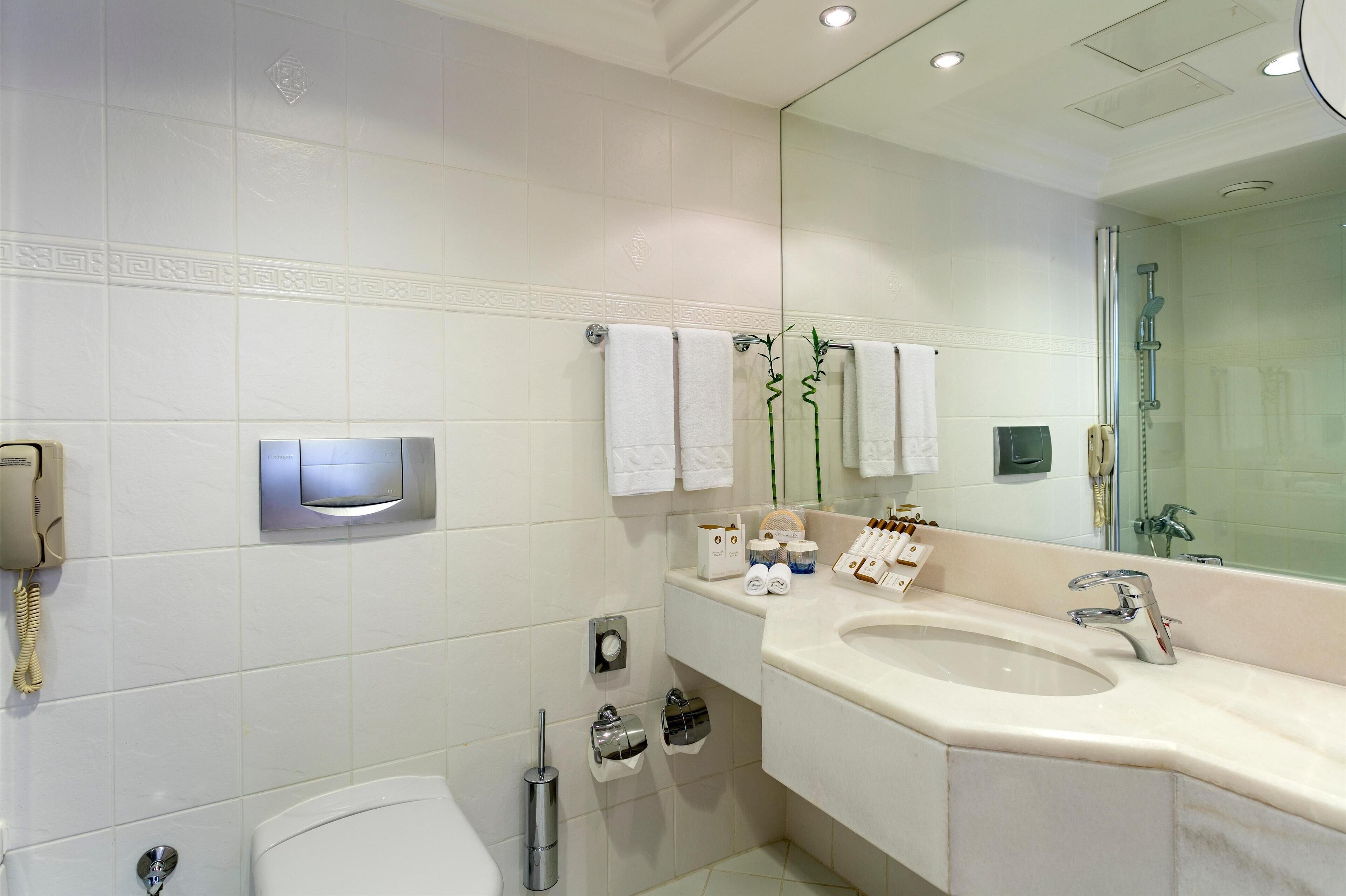 A modern bathroom with a large sink, mirror, and shower. There is a toilet, a bidet, and a toilet paper holder.