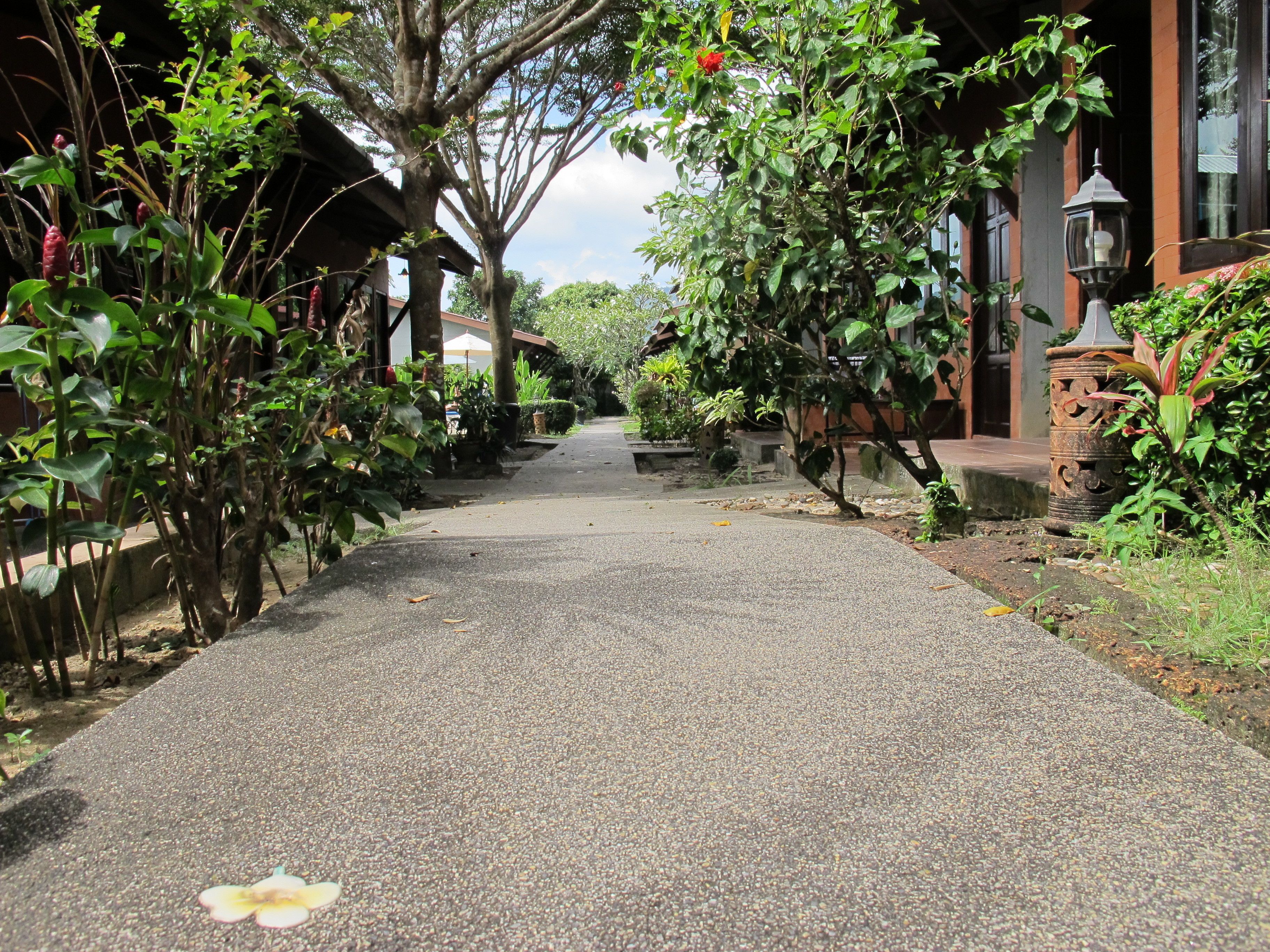 Photo - Phuket Siam Villas - SHA PLUS