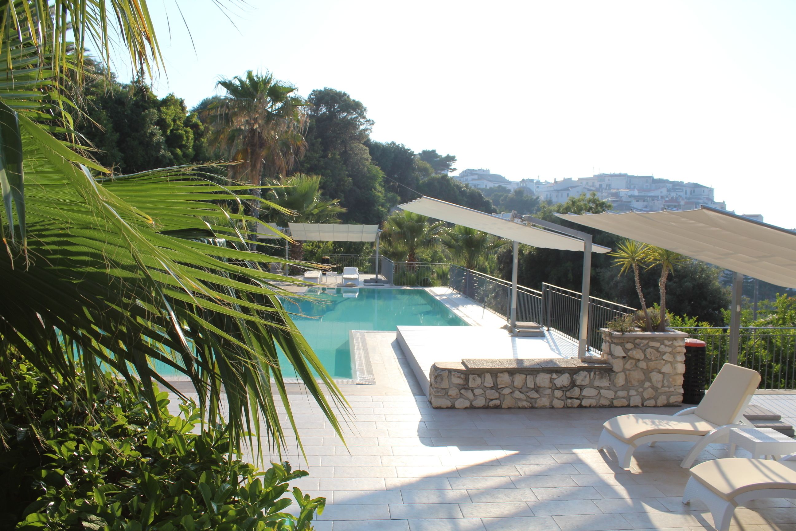 outdoor pool, pool loungers