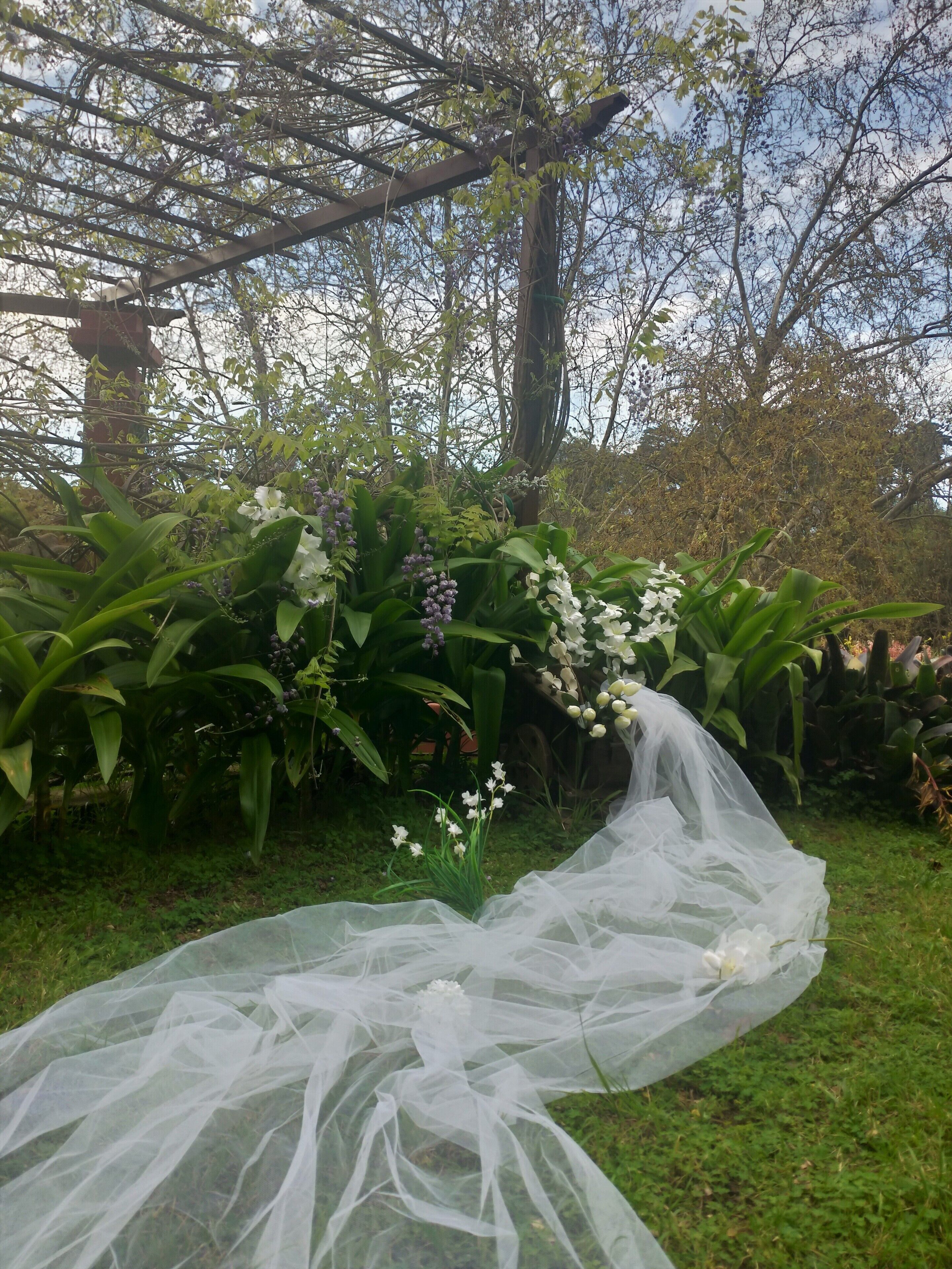 Un jardin agrémenté d’une pergola, d’une végétation luxuriante et d’un tissu décoratif blanc.