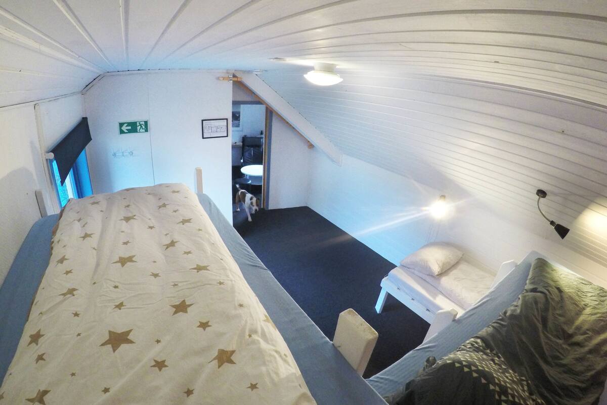 Dortoir partagé de base, 1 chambre | Accès au Wi-Fi (inclus)