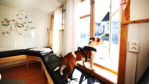 Unclassified image, 2 of 64, button - Tromso Activities Hostel (Tromsø)