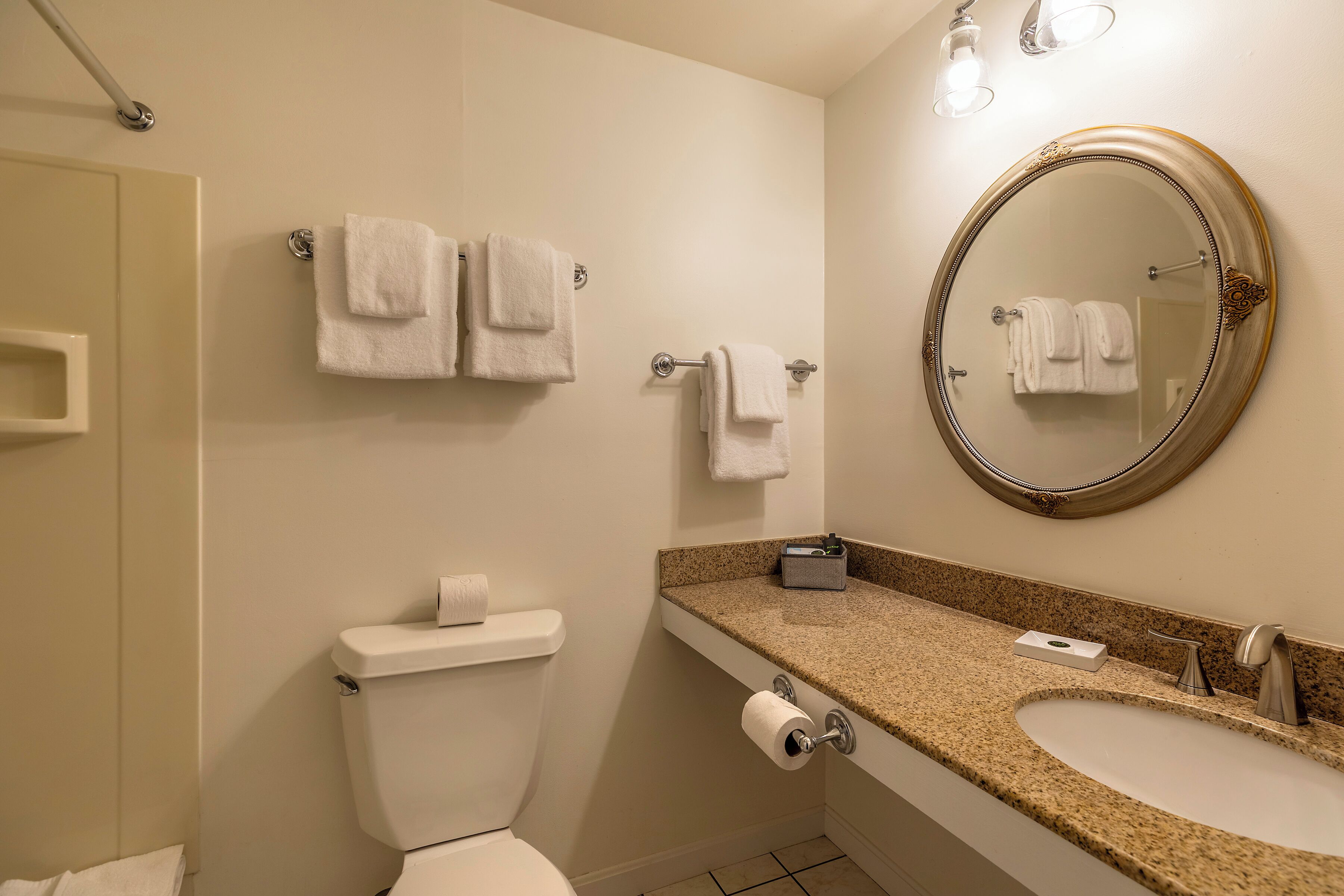 standard river view king | bathroom | shower, free toiletries, hair dryer, towels