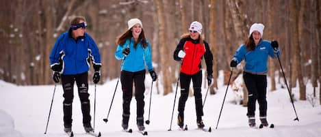 Four people cross-country skiing on a snowy path with trees in the background.