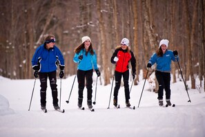 Vier mensen langlaufen op een besneeuwd pad, met bomen op de achtergrond.