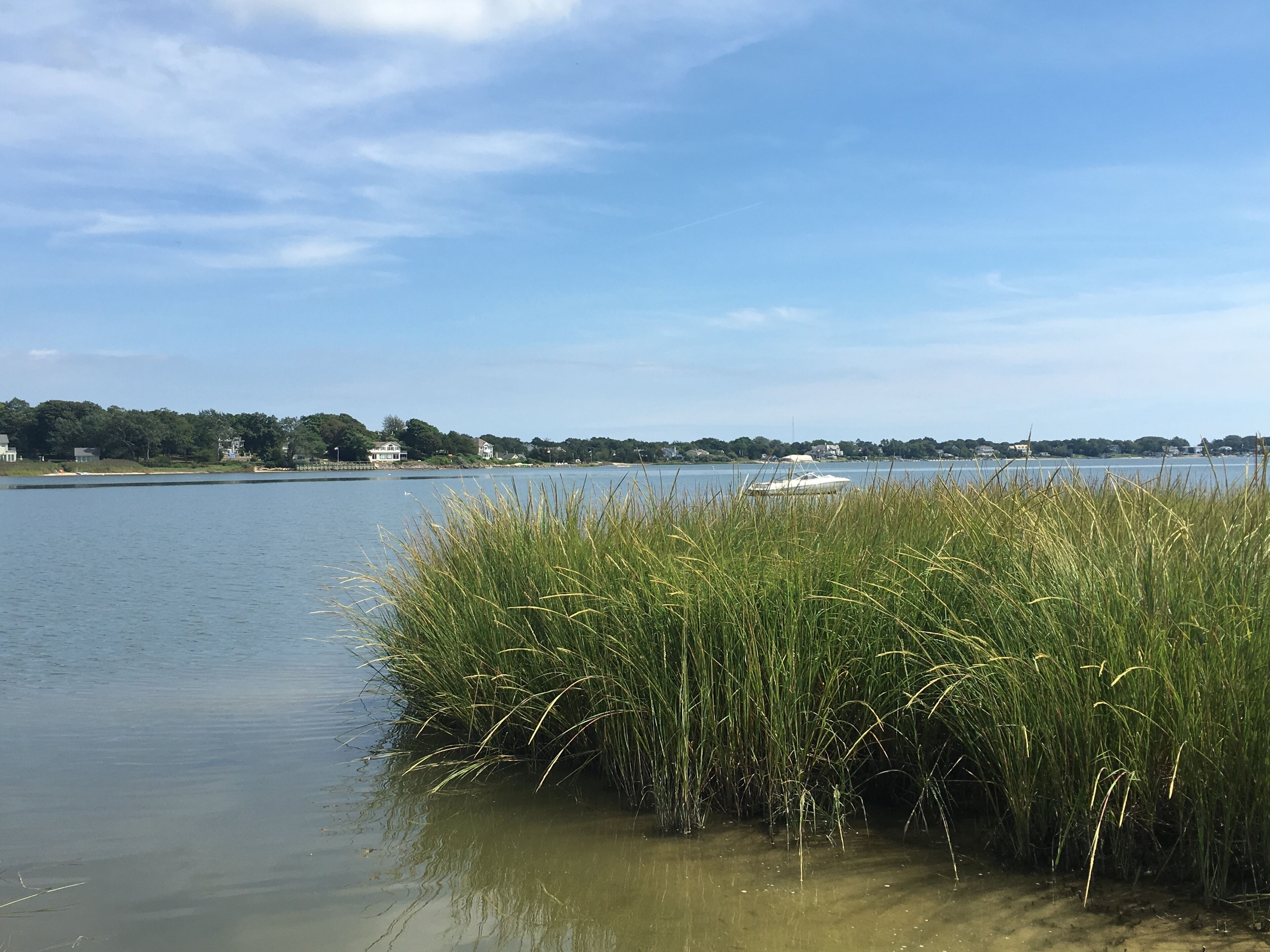 A calm lake with a boat in the distance, surrounded by grassy areas and houses along the shore.