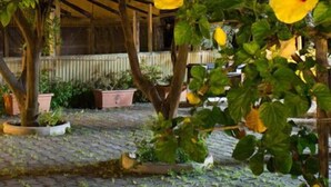 Uklassifisert bilde, 5 av 42, knapp