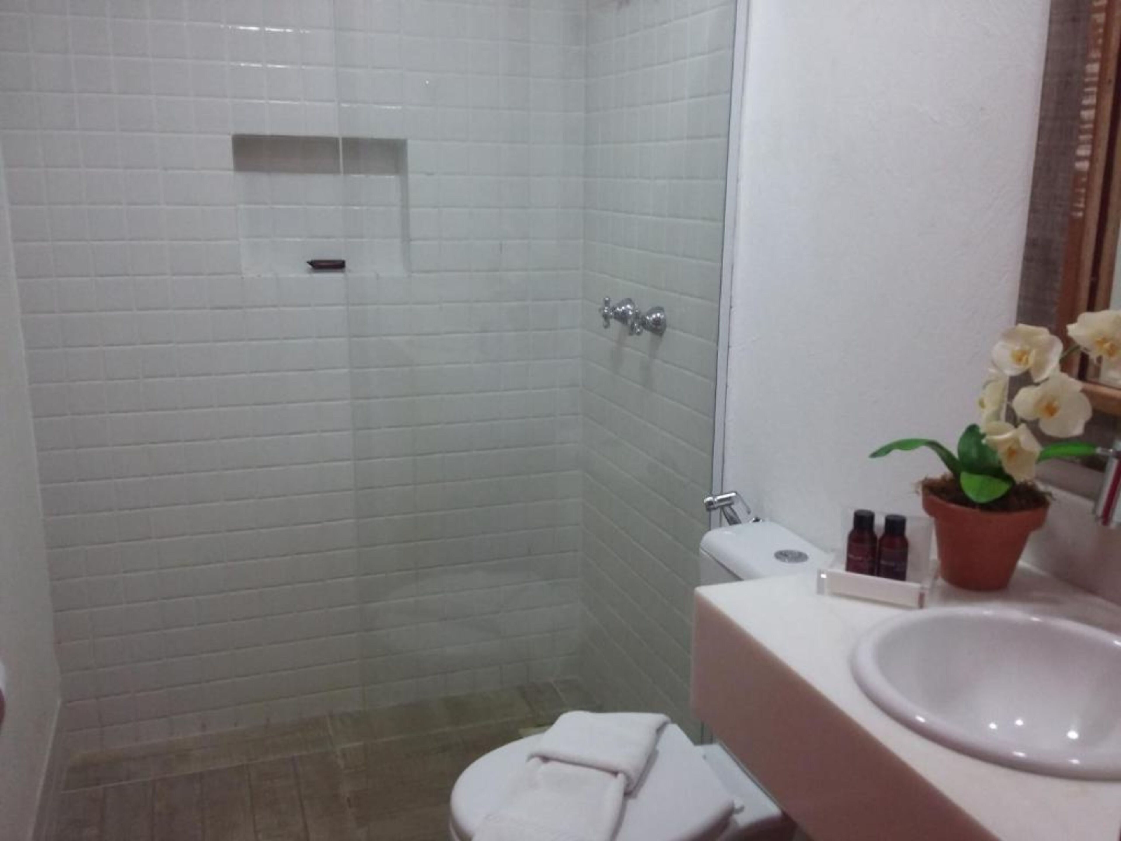 Baño con paredes de azulejos blancos, mampara de ducha de vidrio, lavamanos blanco y una orquídea en maceta sobre la encimera.