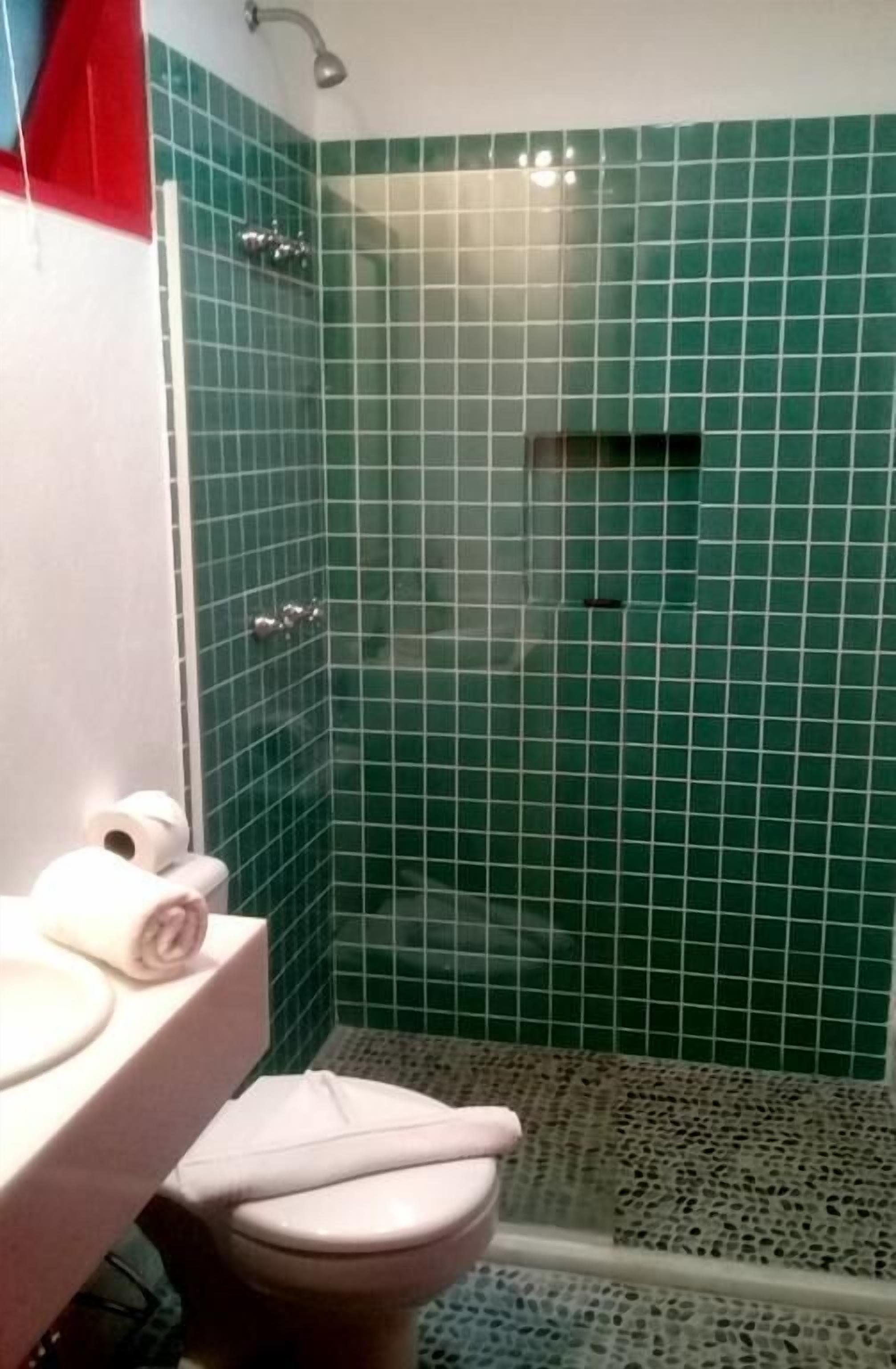 A bathroom with green tiled walls, a shower, and a toilet.