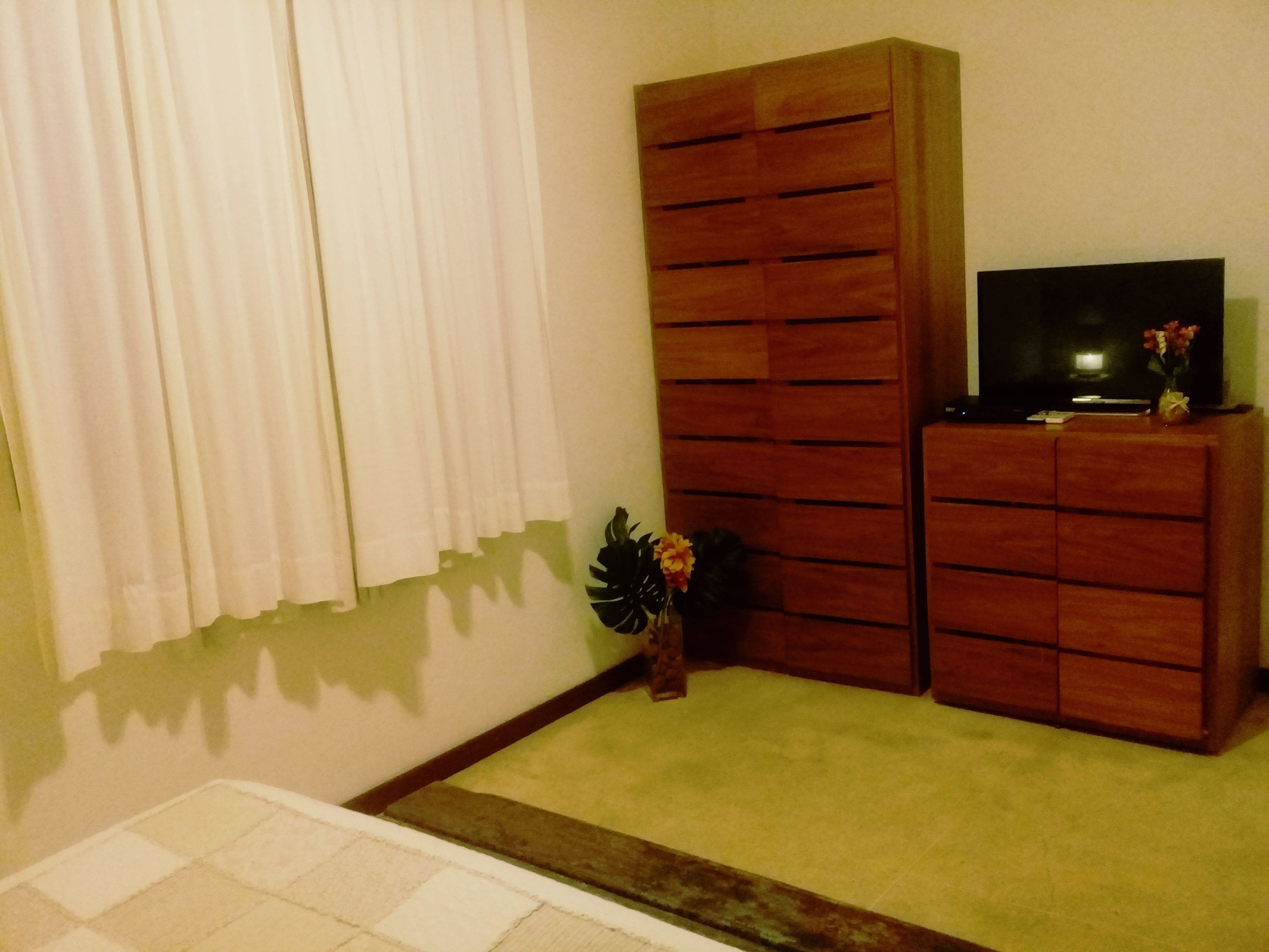A room with a wooden cabinet, a television on top, and a small plant.