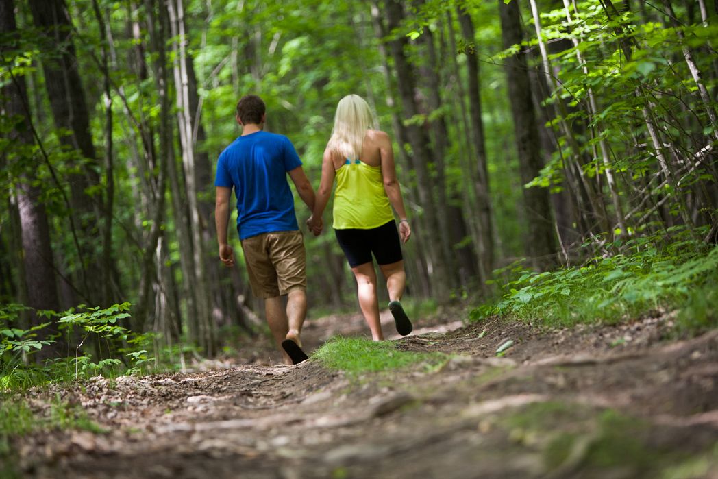 A couple walking on a forest trail.