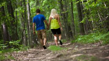 A couple walking on a forest trail.