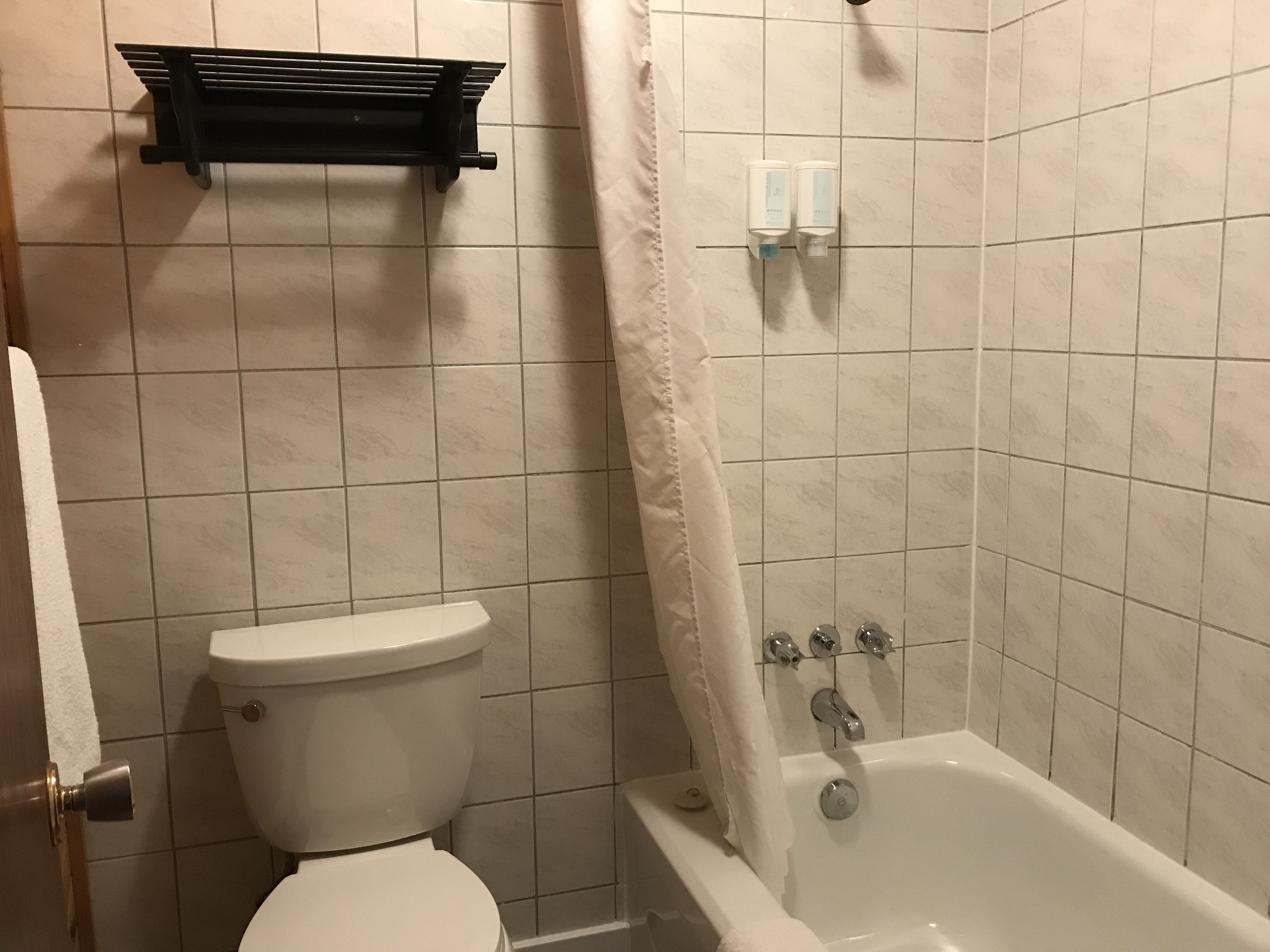A bathroom with a toilet, a bathtub, and a shower curtain.