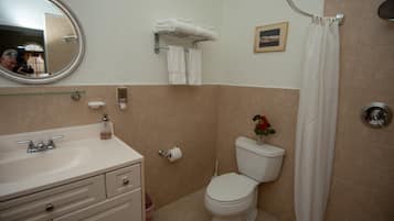 Un baño con lavabo, inodoro y cortina de ducha.