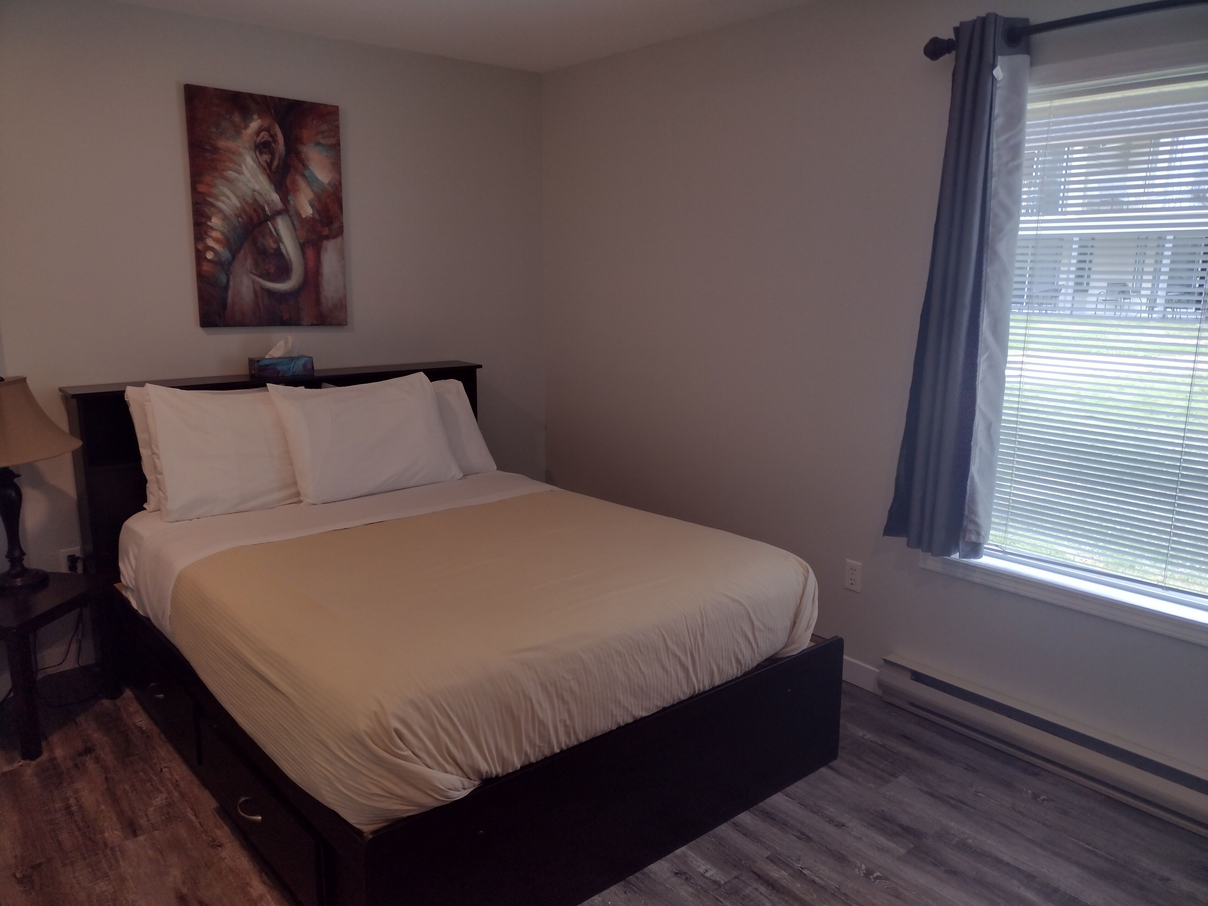 one bedroom poolside | individually decorated, individually furnished, iron/ironing board