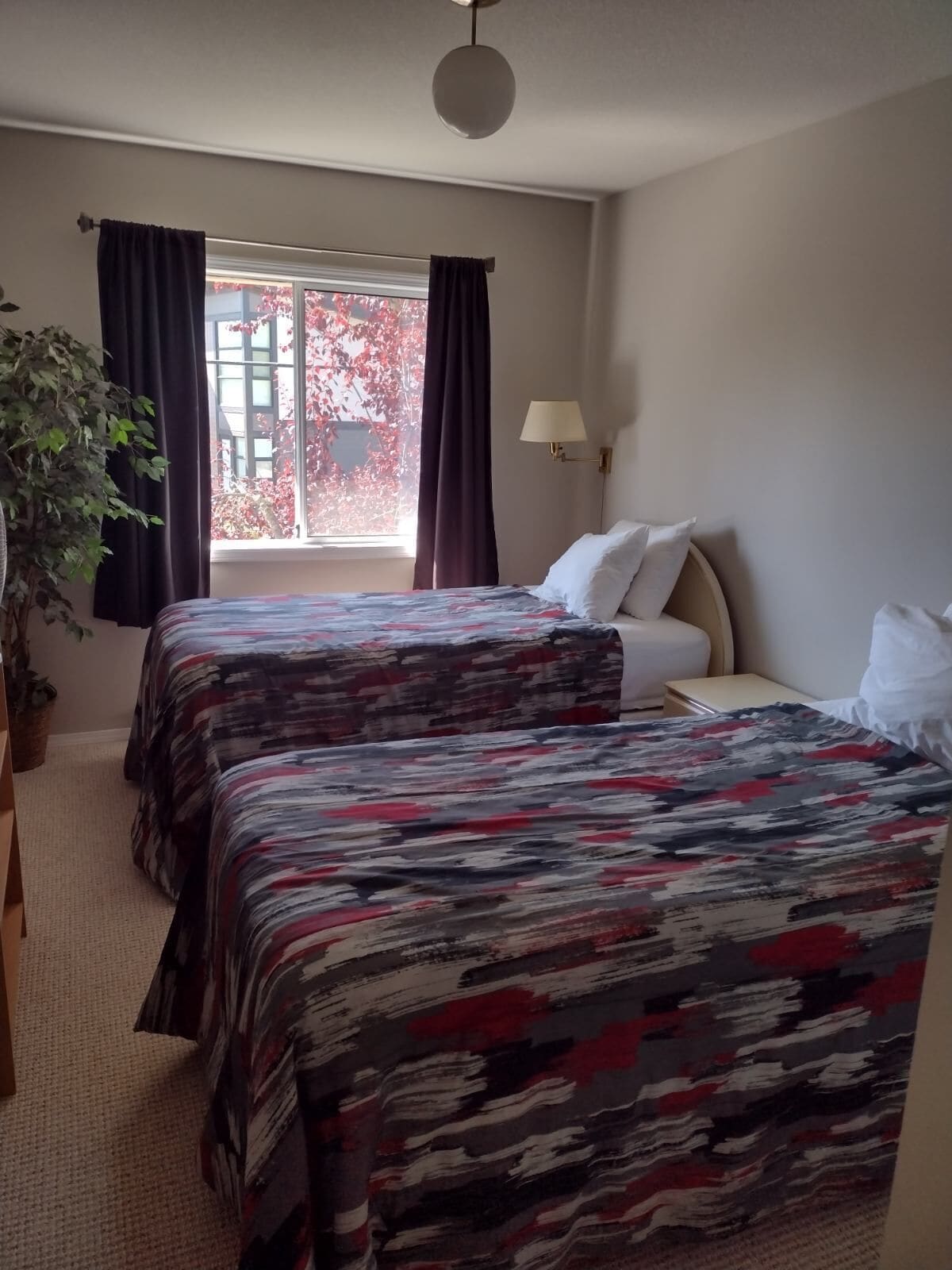 A hotel room with two beds, a window with curtains, a bedside lamp, and a potted plant.