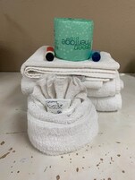 Combined shower/tub, free toiletries, hair dryer