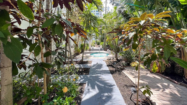 A narrow pathway lined with various plants and a small pool. - North Beach Hotel (Fort Lauderdale)