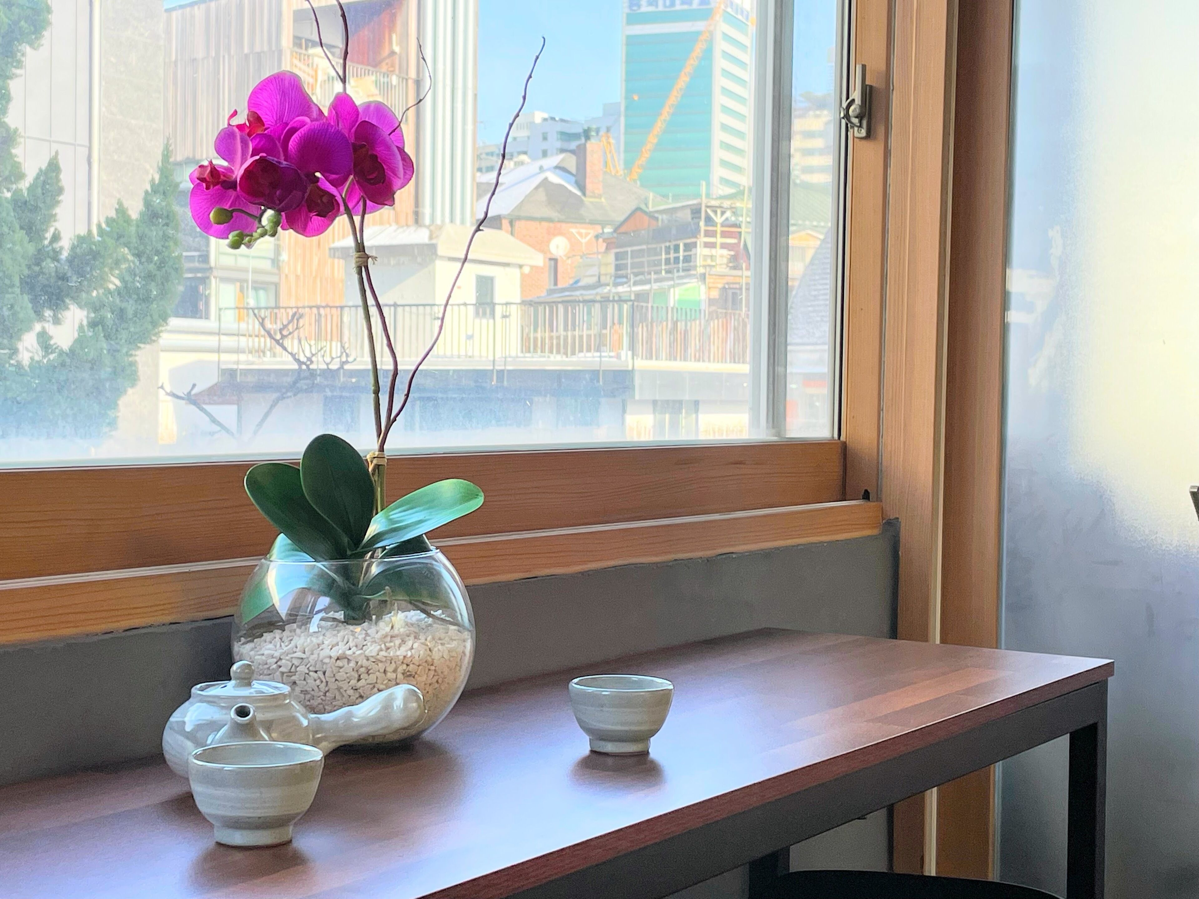 A window sill with a glass vase containing a plant and two white teacups.