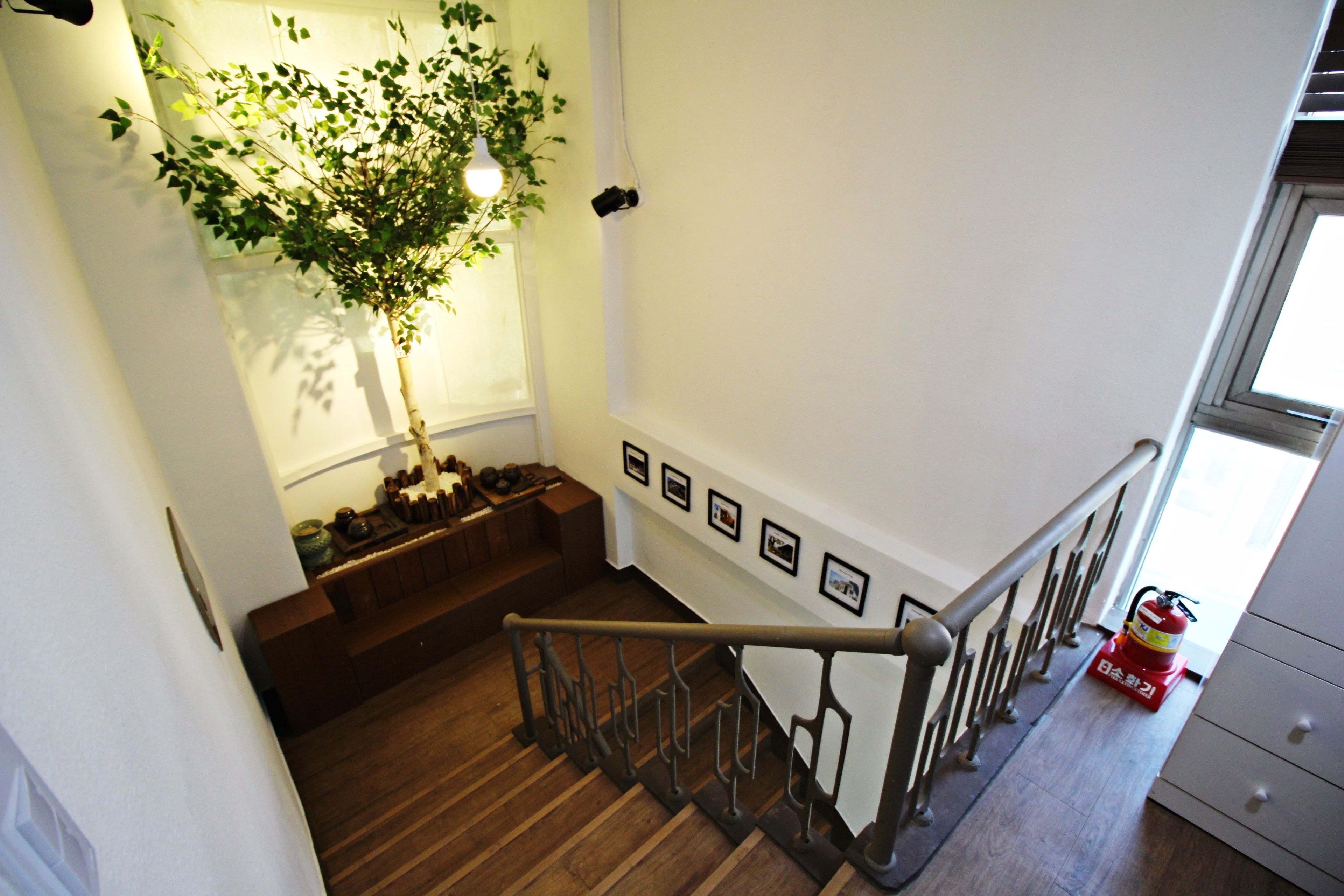 Un escalier en bois avec une rampe métallique, une petite plante et un lampadaire, ainsi qu’un extincteur sur le palier.