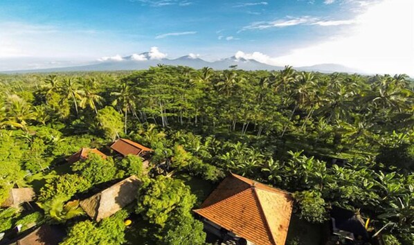 Áreas de la propiedad