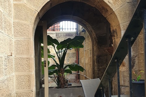 Suite familiar | Terraza o patio