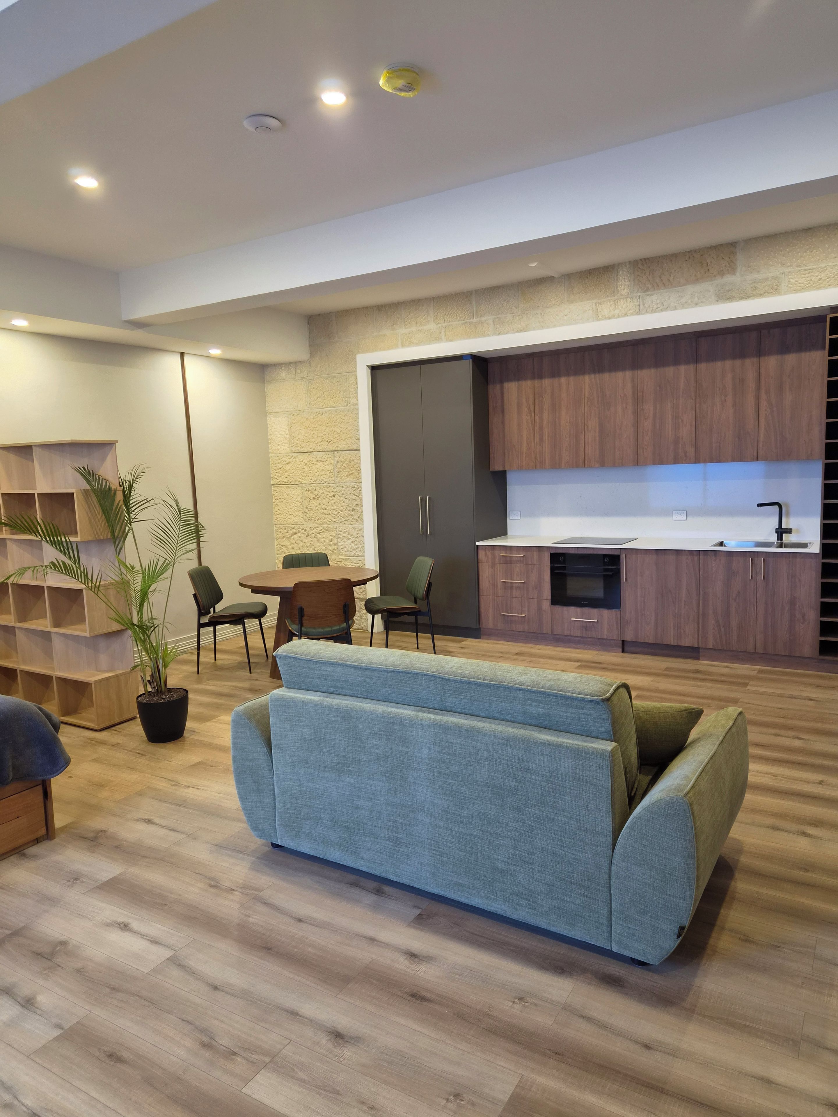 Ein modernes Wohnzimmer mit einer Couch, einem Esstisch, Stühlen, einer Topfpflanze und einer Küchenzeile mit Holzschränken und einem Spülbecken.
