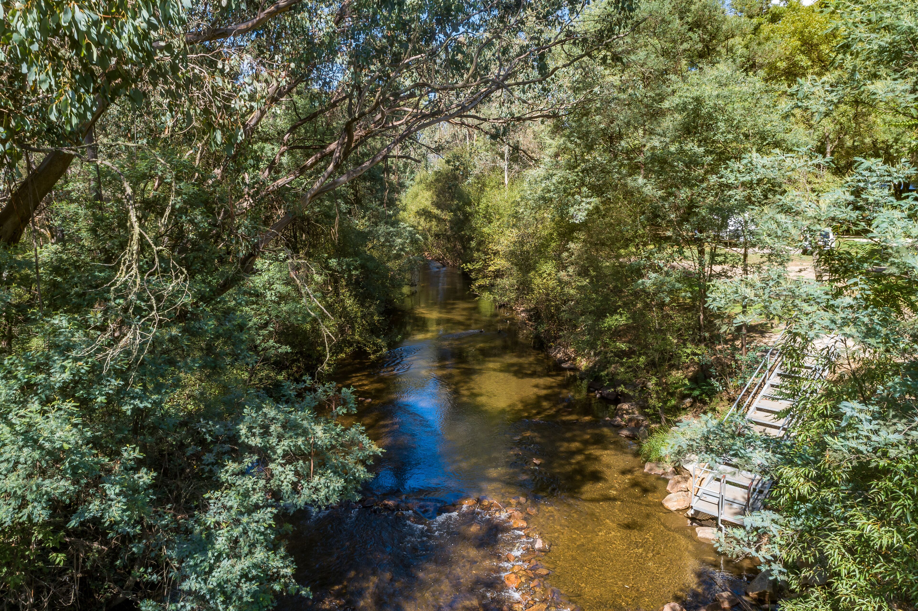 A river flowing through a forested area with a bridge and a wooden walkway.