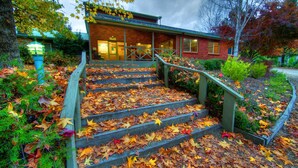 A building with a reception area, surrounded by a garden with autumn leaves. - Discovery Parks - Bright (Freeburgh)