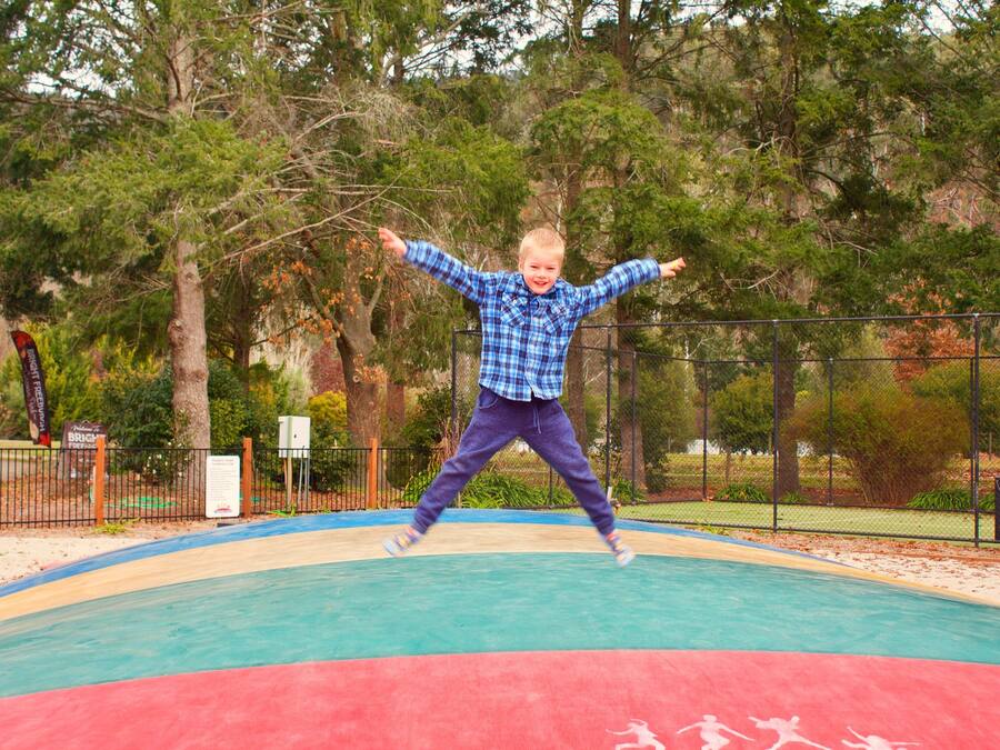 Niño saltando en un trampolín en un espacio al aire libre con árboles y una valla de fondo.