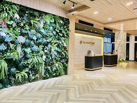 A reception area with a green wall, wooden flooring, and a reception desk.
