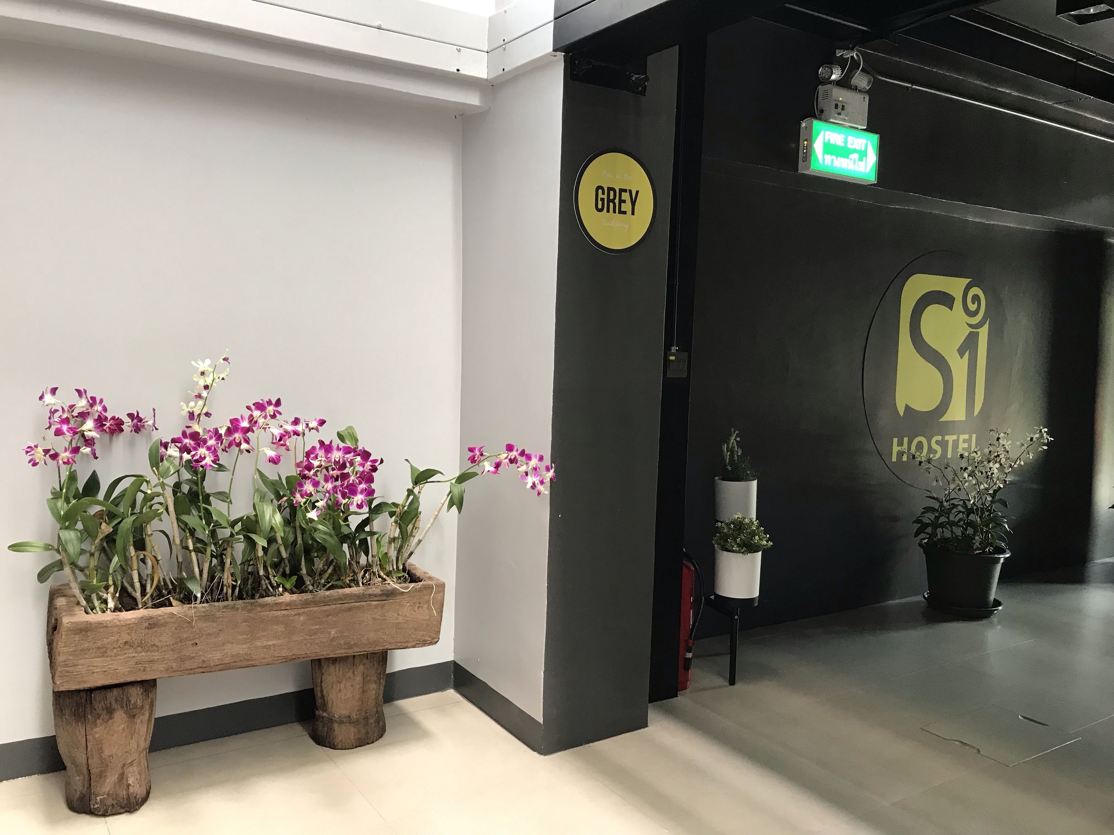 Un'area reception con una panca di legno su cui sono posate orchidee viola, una targa che indica la stanza 'GREY' e un cartello con il logo 'HOSTEL'.