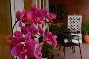Pink orchids in a glass enclosure, a wooden table, and a lattice structure with plants in the background.
