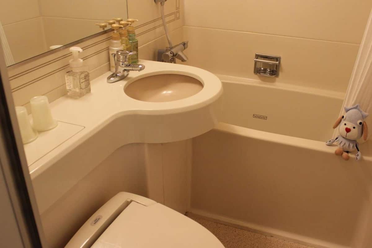 combined shower/bathtub, free toiletries, hair dryer, slippers