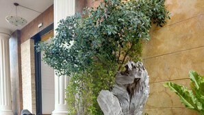 Un jardín con estatuas, plantas en macetas y una bicicleta decorativa.